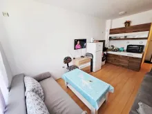 Miniaturka