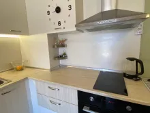 Miniaturka