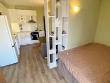 Miniaturka