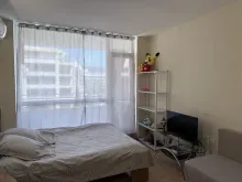 Miniaturka