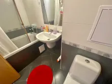 Miniaturka