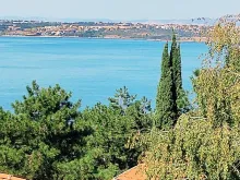 Miniaturka
