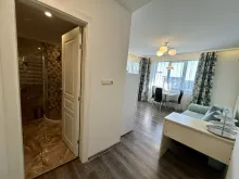 Miniaturka