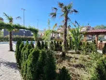 комплекс, территория, бассейн