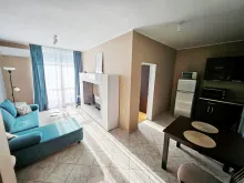 Miniaturka