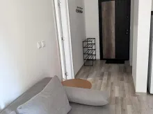 Miniaturka