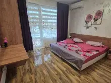 Miniaturka