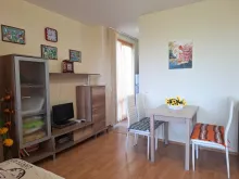 Miniaturka