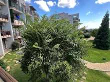 комплекс, территория,