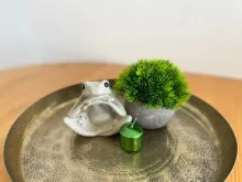Miniaturka