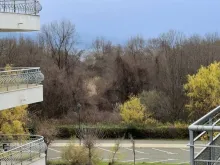 терраса