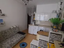 Miniaturka
