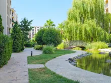 комплекс, территория, бассейн