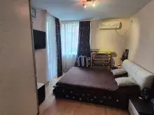 Miniaturka