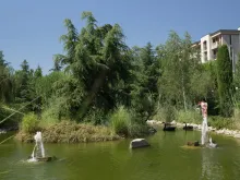 комплекс, территория, бассейн