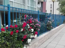 комплекс, территория, бассейн