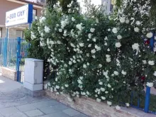 комплекс, территория, бассейн