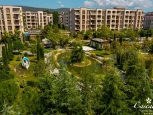 комплекс, территория, бассейн