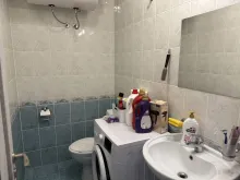 Miniaturka
