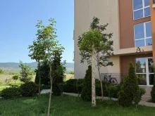 комплекс, территория, бассейн