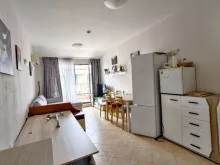 Miniaturka