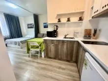 Miniaturka