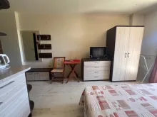 Miniaturka