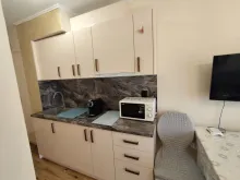 Miniaturka
