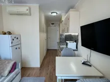 Miniaturka