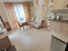 вид на гостиную и кухню