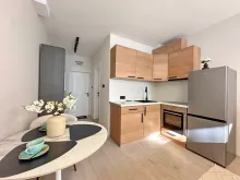 Miniaturka