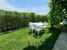 Miniaturka