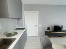Miniaturka