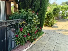 комплекс, территория, бассейн