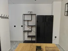 Miniaturka