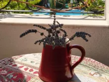 Miniaturka