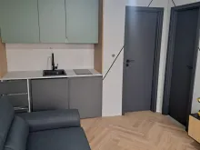 Miniaturka