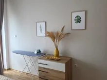 Miniaturka