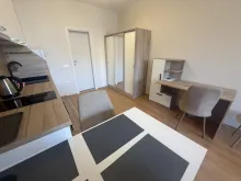 Miniaturka
