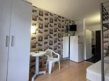 Miniaturka