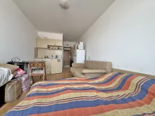 Miniaturka