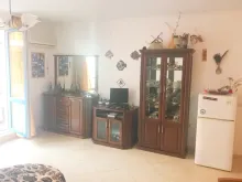 Miniaturka