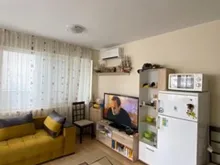 Miniaturka