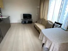 Miniaturka