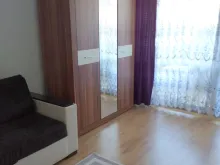 Miniaturka