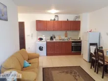Miniaturka