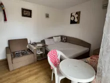 Miniaturka