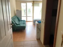 Miniaturka