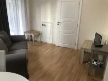 Miniaturka