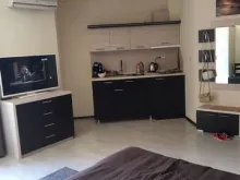 Miniaturka